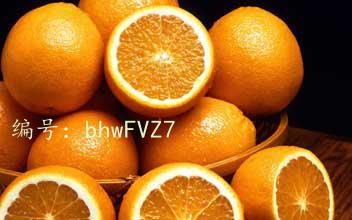 ҵ