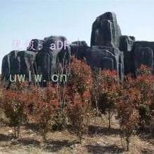 ʨ
