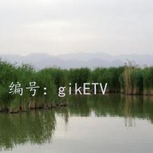 ͨ