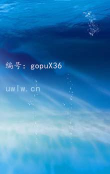 ҵ