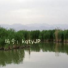 Ȼ