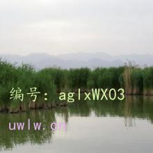 ĩ