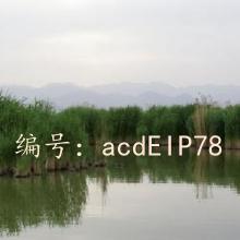 Ȼ